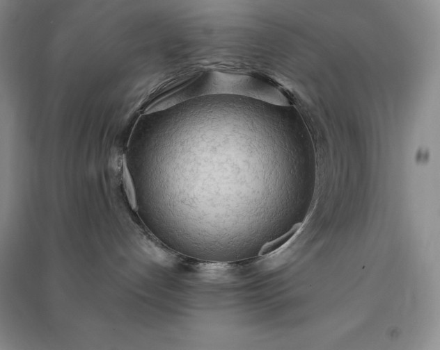 X0000090980192200708161904