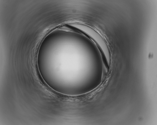 X0000090980193200708161903