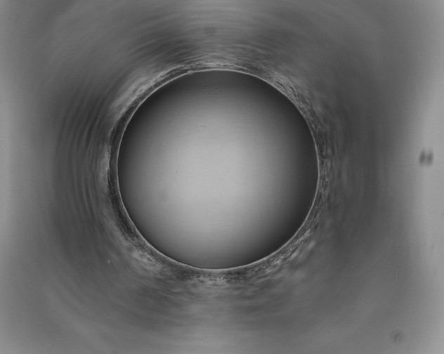 X0000090980194200708161903