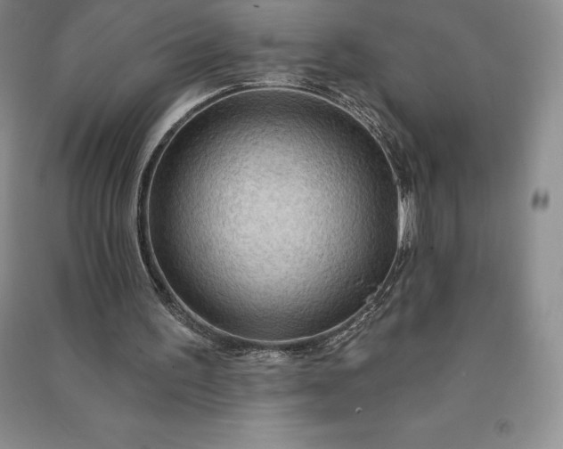 X0000090980195200708161903