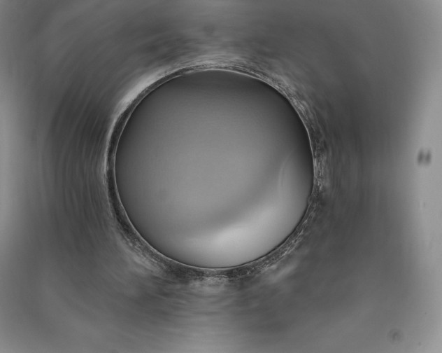 X0000090980196200708161903