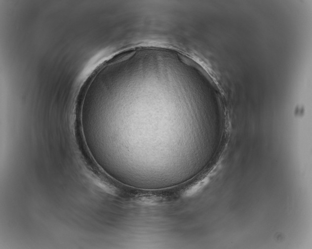 X0000090980199200708161903