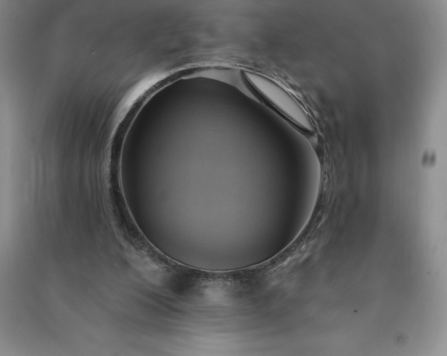 X0000090980200200708161903