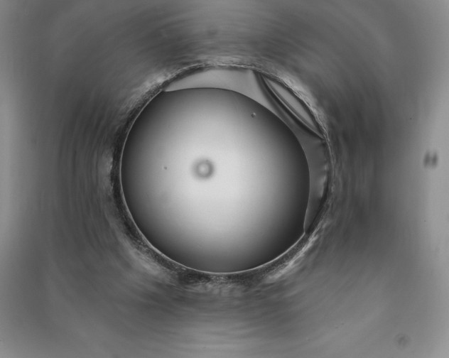 X0000090980201200708161903