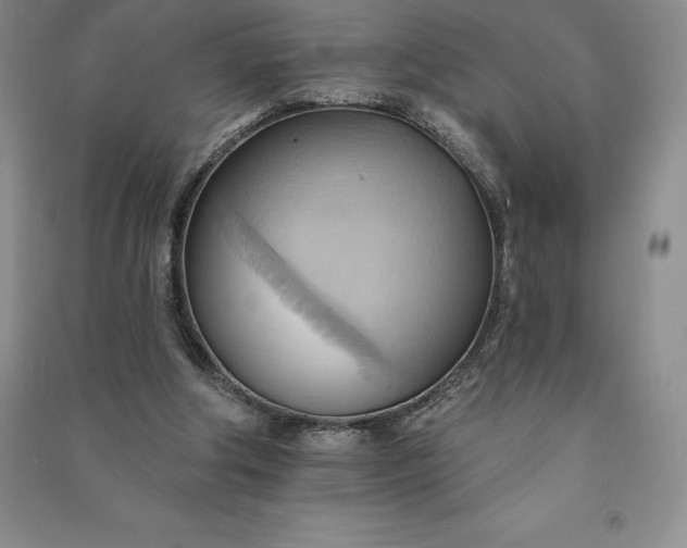 X0000090980202200708161903
