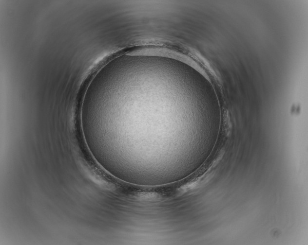 X0000090980203200708161903