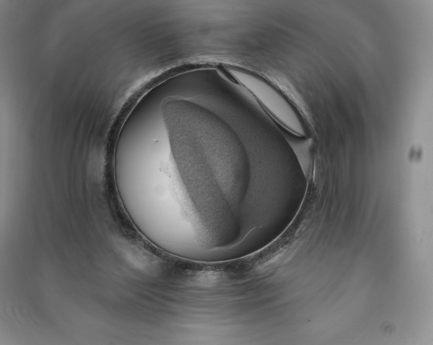 X0000090980204200708161903