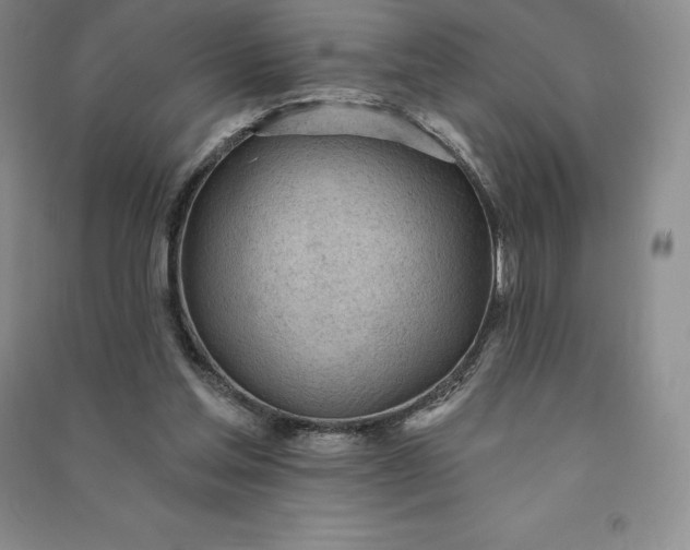 X0000090980205200708161903