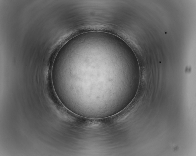 X0000090980206200708161903