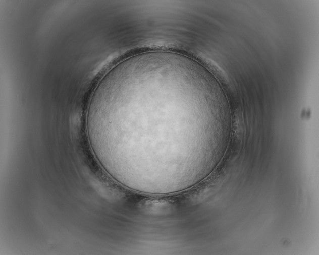 X0000090980208200708161903