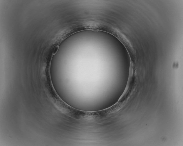 X0000090980209200708161903