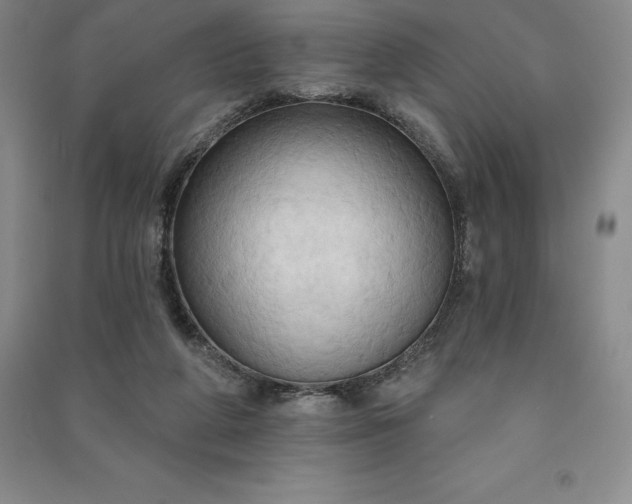 X0000090980210200708161903