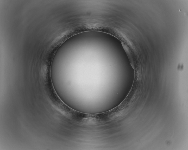 X0000090980211200708161903