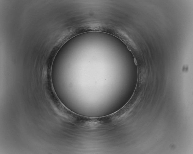 X0000090980213200708161903