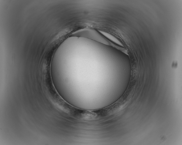 X0000090980215200708161903