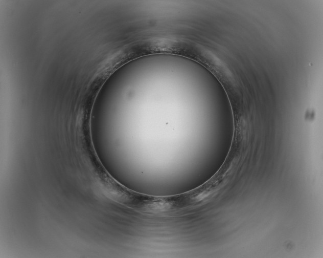 X0000090980217200708161903
