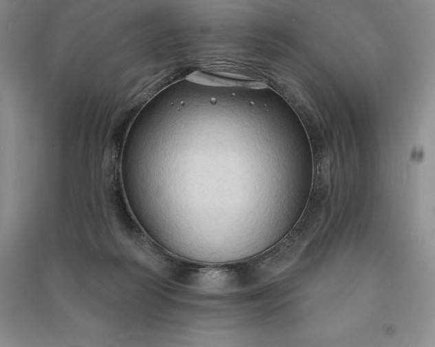 X0000090980218200708161903