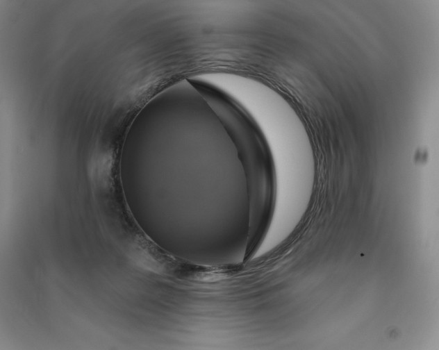 X0000090980219200708161903