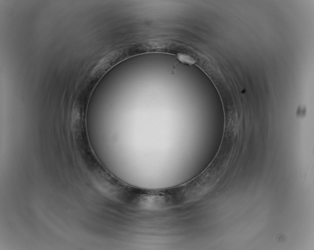 X0000090980220200708161903