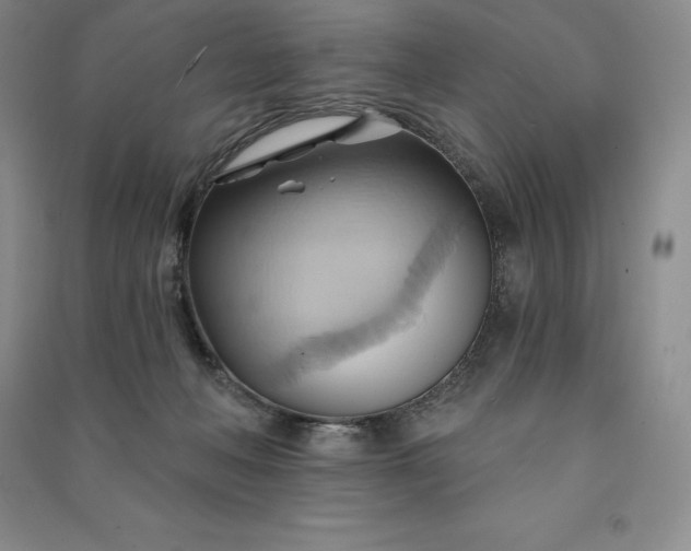 X0000090980222200708161903