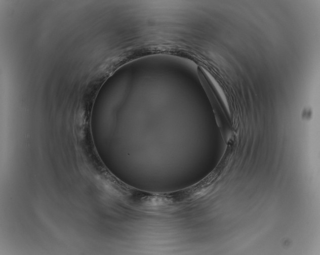 X0000090980223200708161903