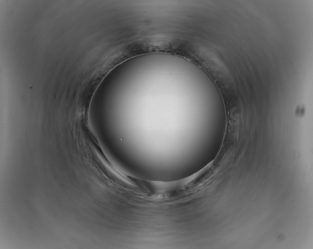 X0000090980225200708161903