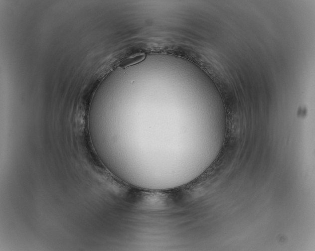 X0000090980226200708161903