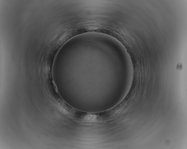 X0000090980227200708161903
