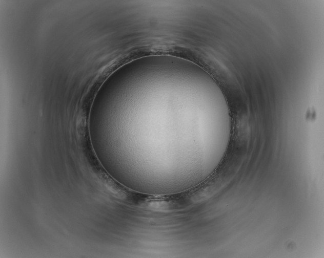 X0000090980228200708161902