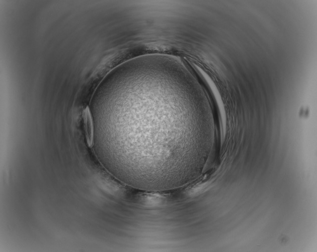 X0000090980229200708161902