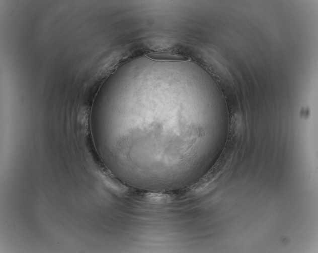 X0000090980234200708161902