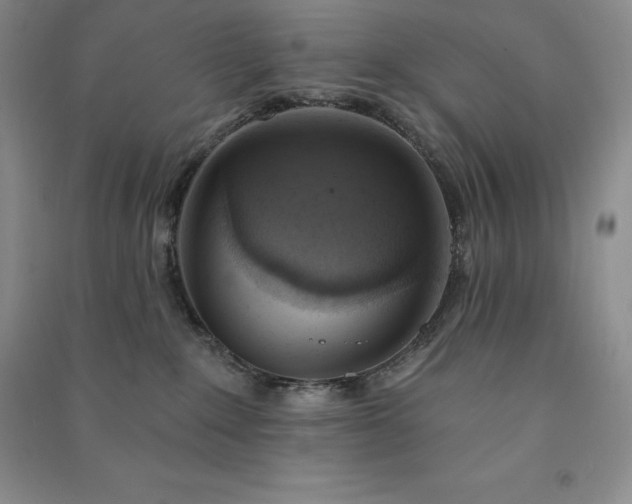 X0000090980235200708161902