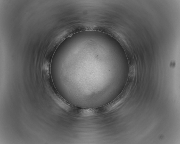 X0000090980238200708161902