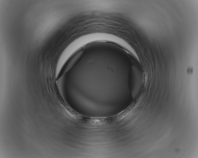 X0000090980239200708161902