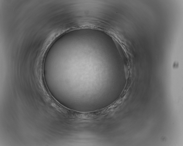 X0000090980241200708161902