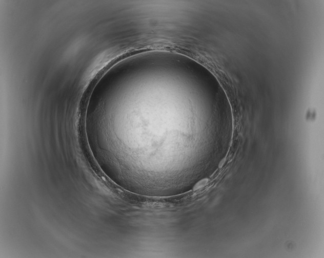 X0000090980242200708161902