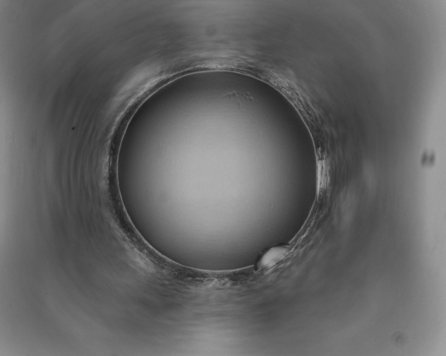 X0000090980243200708161902