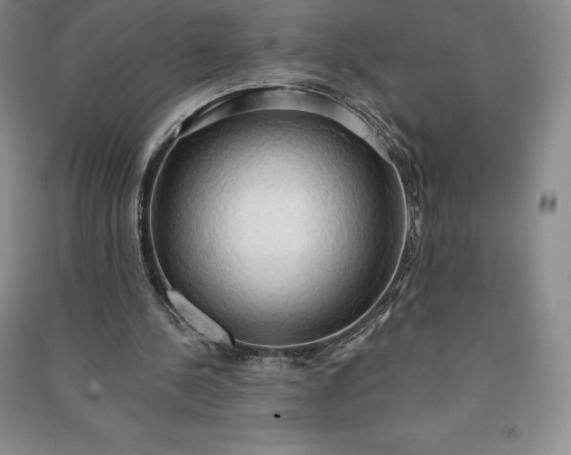 X0000090980244200708161902