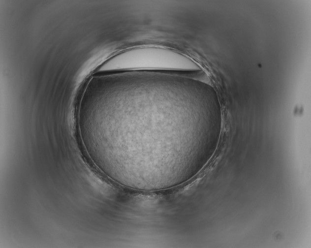 X0000090980245200708161902