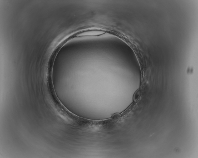 X0000090980247200708161902
