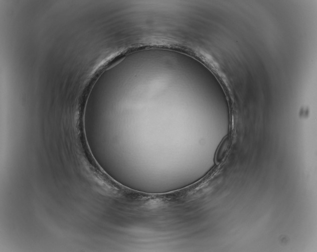 X0000090980249200708161902