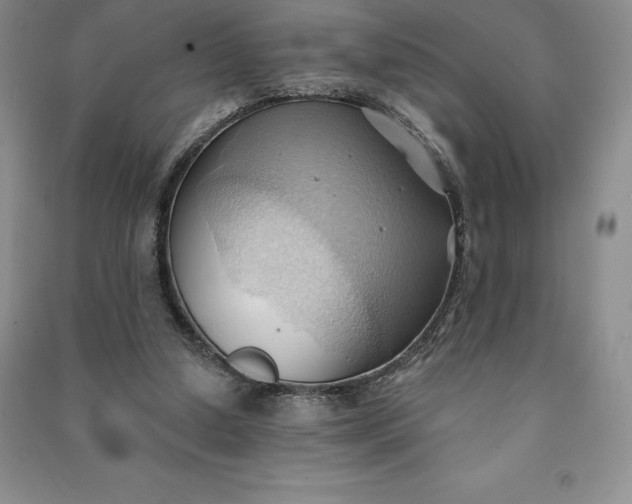 X0000090980250200708161902