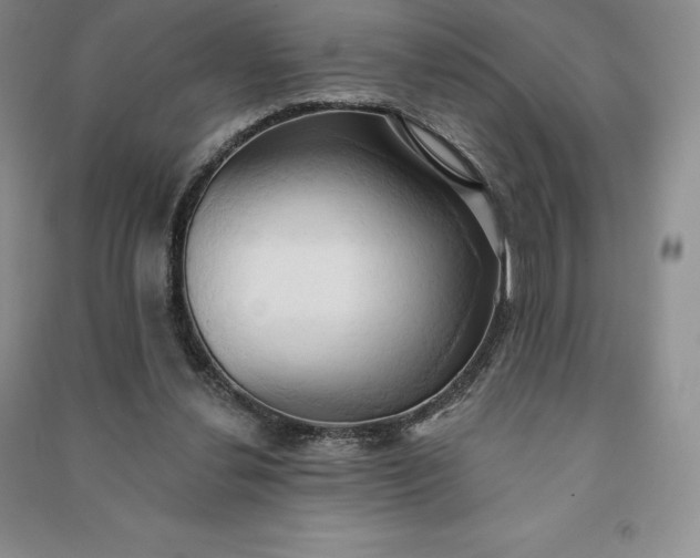 X0000090980252200708161902
