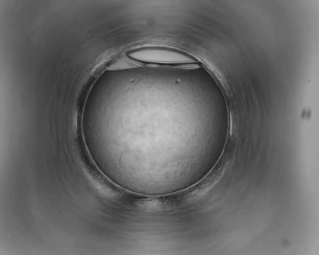 X0000090980253200708161902