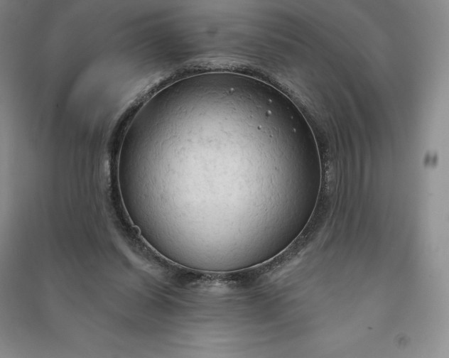 X0000090980254200708161902