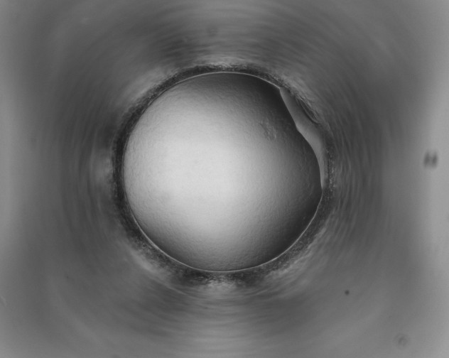 X0000090980256200708161902