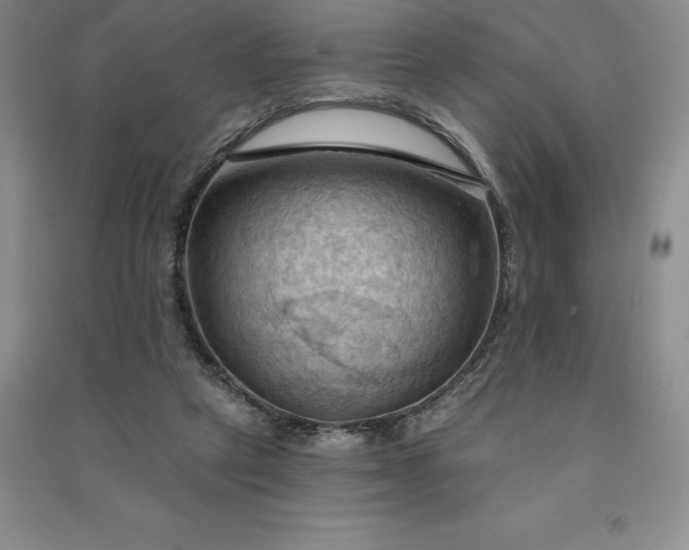 X0000090980257200708161902