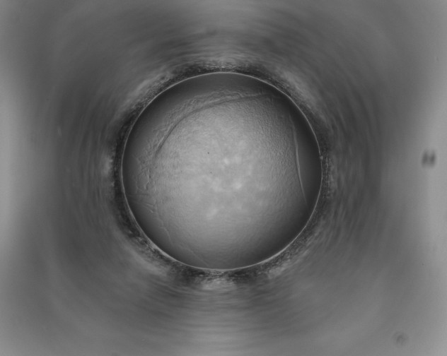 X0000090980258200708161902
