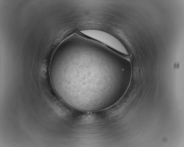 X0000090980259200708161902