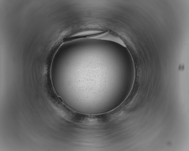 X0000090980260200708161902